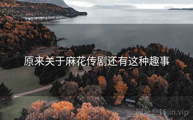原来关于麻花传剧还有这种趣事