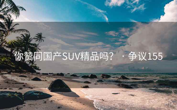 你赞同国产SUV精品吗？ · 争议155