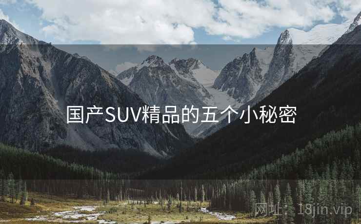 国产SUV精品的五个小秘密