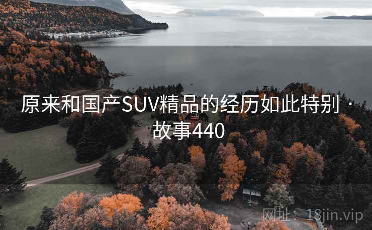 原来和国产SUV精品的经历如此特别 · 故事440 原来和国产SUV精品的经历如此特别 · 故事440