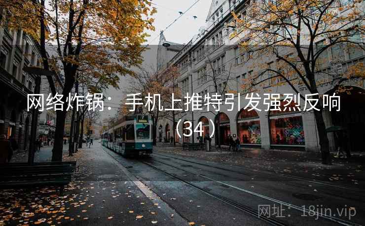 网络炸锅：手机上推特引发强烈反响（34 ）